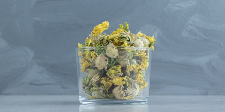 Article: Reproductive Ability of Current–Gooseberry Hybrids After Cryopreservation of Pollen in Liquid Nitrogen