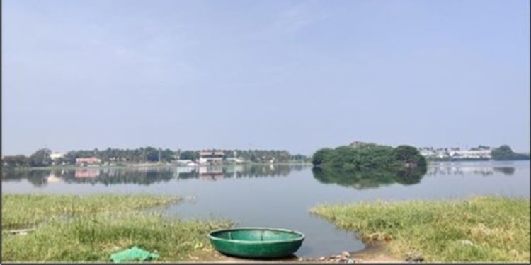 Article: Assessing the Impact of Environmental Factors on Andipalayam Lake's Insect Biodiversity
