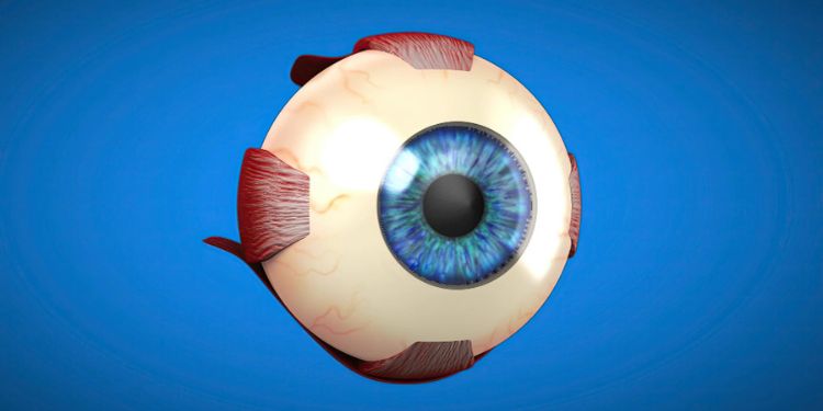 Article: Conjunctival Resection for Mooren's Ulcer Refractory to Medical Therapy: A Case Report